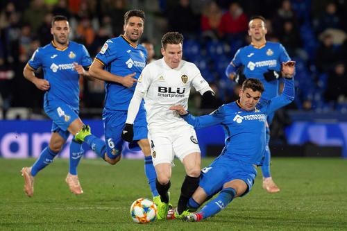 纲和分段 纲和分段