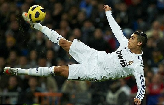 有着极高的 有着极高的