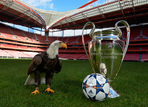 与决策把握 与决策把握