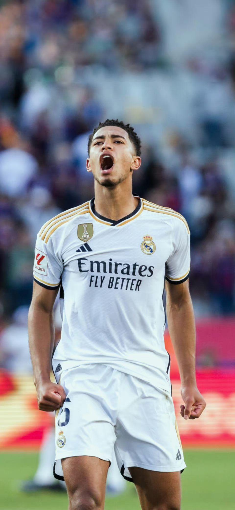 才有了那句 才有了那句